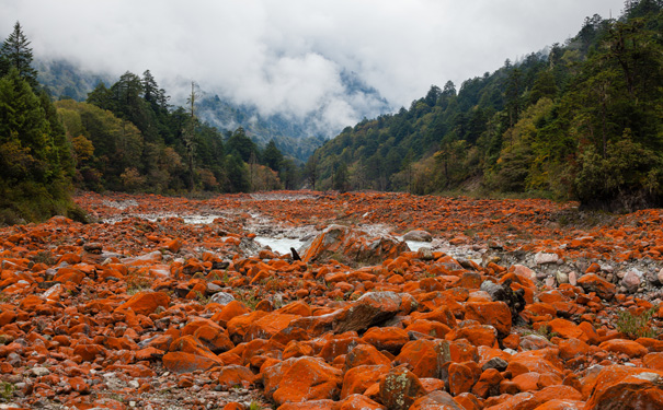 重庆出发特价旅游_四川甘孜燕子沟汽车3日旅游[贡嘎仙域]<经典川西旅游线路，游览甘孜燕子沟+红石滩+磨西古镇等，赏贡嘎雪山仙境美景！>