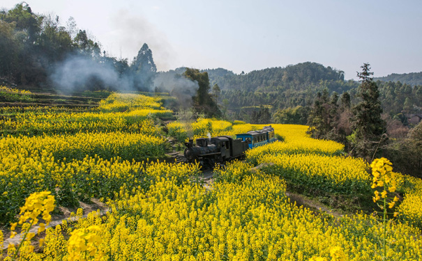 重庆周边旅游_[纯玩]罗城古镇+嘉阳小火车汽车2日游[重庆到四川旅游]<四川旅游，游览国家4A级景区“嘉阳矿山公园”，赏油菜花海盛放！未含小火车费用，全程不进店不推荐自费景点！>