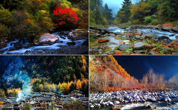 重庆到川西旅游_孟屯河谷红叶+羌人谷双汽三日游(秋季川西旅游)<金秋10月红叶季，重庆秋季旅游，孟屯河谷红叶季——赏雪山草甸、冰川湖泊、原始森林、珍稀野生动物！>