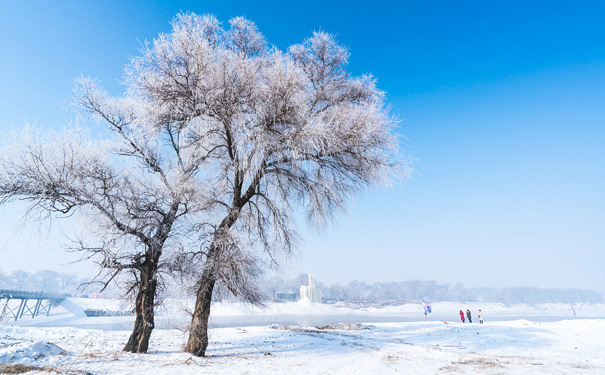 吉林雾凇岛+雪乡+亚布力滑雪+哈尔滨双飞5日旅游