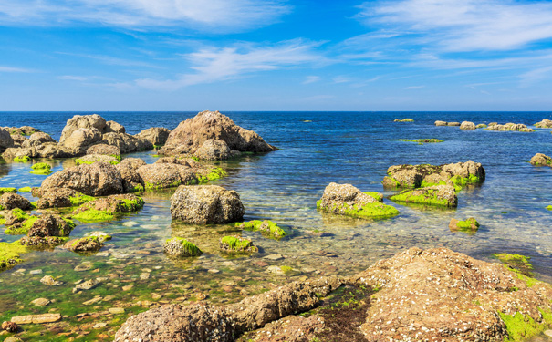 重庆到青岛旅游_青岛+威海(乳山/海驴岛)+蓬莱+济南双飞7天[重庆到山东旅游]<中国黑尾鸥之乡“海驴岛”赠快艇环岛游+蓬莱海滨赶海+乳山银滩+2次海水浴场自由活动，升级1晚海边住宿>