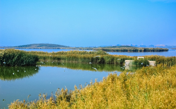 重庆到甘肃旅游_神奇宁夏、大美青海双飞6日游<青海宁夏纯玩亲子游，重庆出发，一次纵跨甘青宁西北三省>