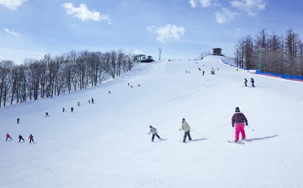 重庆出发半自由旅游_[高端定制]日本苗场·滑雪季7天纯玩半自由行[全包旅游+6人小包团]<重庆到日本滑雪旅游，纯玩小包团，0购物0自费0小费！全程王子酒店+苗场王子滑雪体验(私教服务)+乘坐新干线>