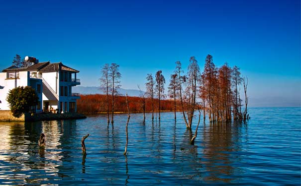 重庆到云南旅游_[纯玩]丽江+大理+泸沽湖双飞5/6日旅游[亲爱的客栈]<纯玩云南丽江大理泸沽湖旅游线路，全程不推荐自费不进购物店，洱海VIP私人游船+鱼鹰表演+环湖自行车+花海早茶>