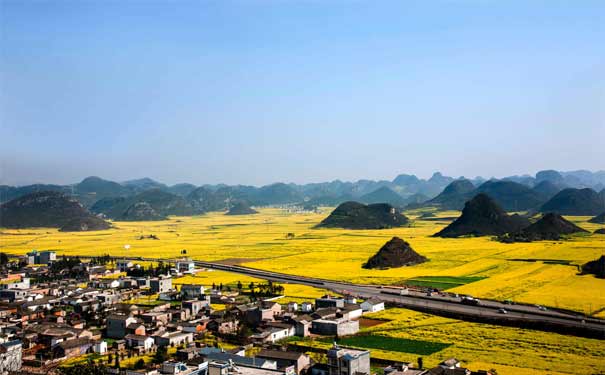 重庆出发赏花旅游_2019重庆出发西双版纳+罗平油菜花自驾6日游<春节重庆自驾到云南西双版纳旅游！>