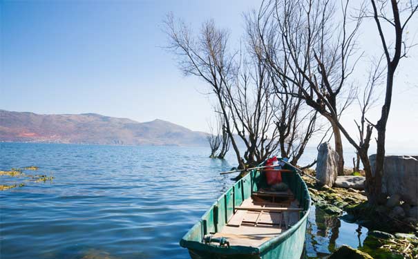 重庆到大理+丽江旅游_[青旅自营]云南丽江+大理纯玩双飞5天旅游<重庆到云南丽江大理旅游，全程商务车，1晚大理海景酒店+3晚丽江精品商务酒店，无人数年龄限制>