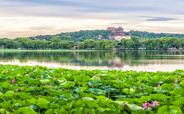 重庆到天津旅游_[夕阳红·世纪婚礼]北京天津6/7/8日旅游[飞机/火车]<北京夕阳红旅游，千名老人穿婚纱，圆梦世纪婚礼！精心挑选户外场地婚礼，安排四大特色餐，带她“再”青春一回>