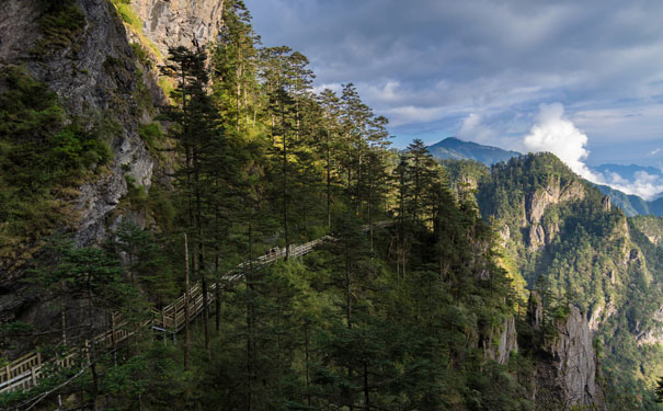 重庆到神农架旅游_重庆到武当山+神农架火车五日旅游<湖北神农架+武当山旅游，探秘北纬31°神奇之地，全程无购物，每周天天发团>