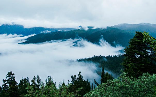 重庆出发深度旅游_西藏林芝一地纯玩4天旅游[深度西藏游]<西藏林芝一地纯玩旅游线路，重庆直飞林芝，2人起订，高品质旅游团，全程0自费0购物！>