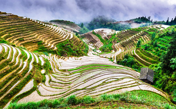 重庆出发纯玩旅游_【品质纯玩】桂林+阳朔+龙脊4/5天旅游[动车/飞机]