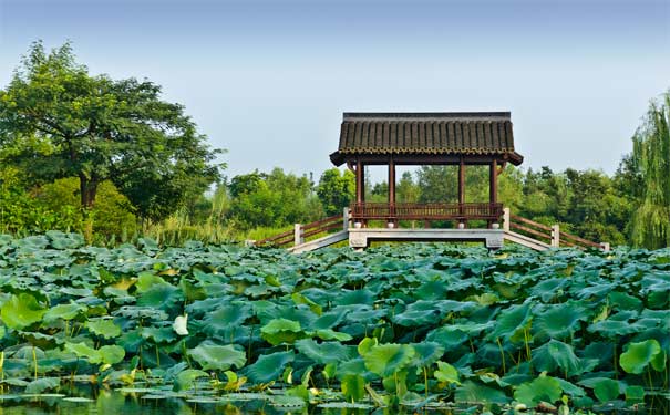 重庆到普陀山旅游_华东五市+三水乡+迪士尼小镇双飞六日游[品味江南]<华东五市江南旅游线路，乌镇+西塘+木渎，深度体验小桥流水人家的意境！特别赠送： 迪士尼小镇>