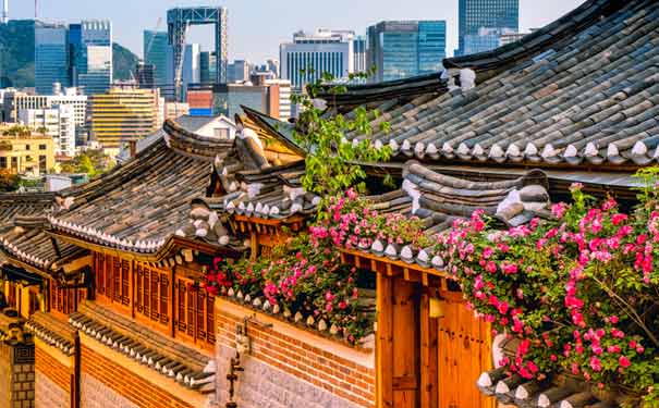 重庆出发主题旅游_[深度游]韩国首尔、清州、釜山双飞六日游<清州相竹香草乐园、清州古印刷博物馆、釜山APEC世峰楼、釜山海云台海水浴场>