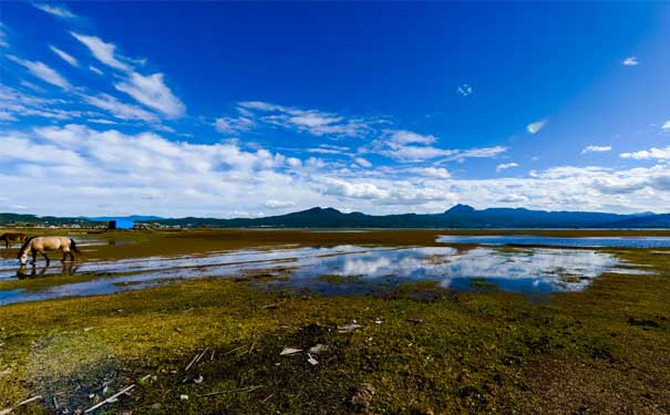 【精华游】重庆到丽江/拉市海/香格里拉/普达措双飞5日游