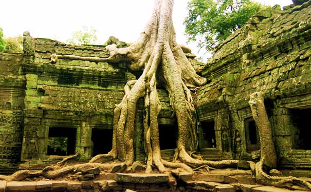 重庆到柬埔寨旅游_【白天0自费】柬埔寨吴哥窟+金边双飞6天旅游