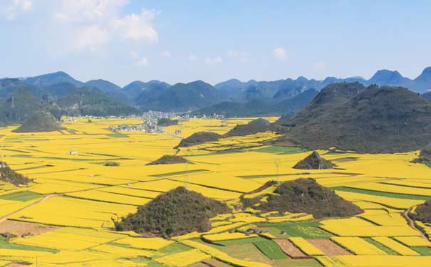 重庆到云南旅游_[周末赏花]2019罗平油菜花汽车三天半自助旅游(下午出发)<周五下午出发，周末赏花，2019罗平油菜花旅游线路，赏罗平万亩油菜花！赠送金鸡岭门票！>