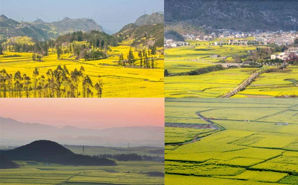 重庆出发国内旅游_罗平油菜花节+兴义马岭河+万峰林+万峰湖4日旅游<2020罗平油菜花旅游，重庆赏花游，春节出游赏万亩连片油菜花田！兴义马岭河+万峰湖+万峰林+罗平+息烽集中营>