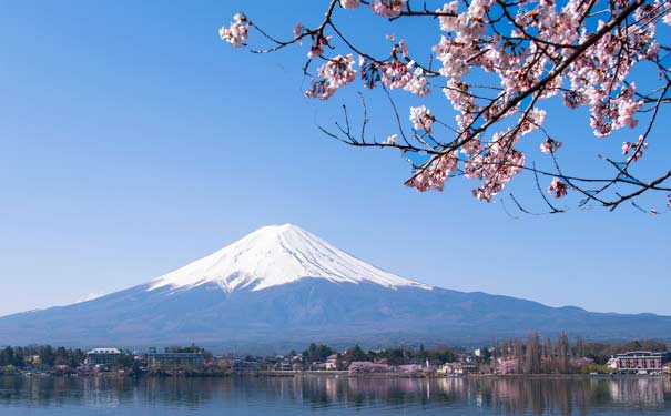 重庆出发出境旅游_日本东京+箱根富士山+横滨[5+1日半自助游·玩转芝樱季]<春季日本旅游赏樱线路，1天自由活动+富士山五合目(芝樱公园)+忍野八海+横滨山下公园+东京塔，体验1晚正宗日式温泉酒店>