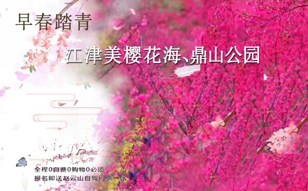 重庆出发赏花旅游_[纯玩]江津石门美樱花海+鼎山公园一日游[重庆周边赏花]<2024早春赏花，重庆周边赏花旅游，赏江津美樱花海美景，天然森林养吧游玩，全程纯玩0购物0自费！>