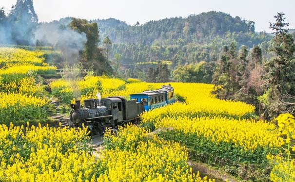 重庆出发赏花旅游_嘉阳小火车•桫椤湖+峨眉象城二日游[春季油菜花旅游]<春季去犍为赏嘉阳小火车油菜花，一辆开往春天的列车！全程不进店！>