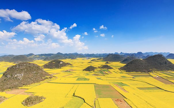 重庆到云南旅游_【赏花】云南罗平油菜花半自助汽车往返3日游[下午出发]