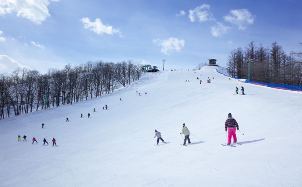 重庆武隆仙女山滑雪避暑2日游[仙女山专列]