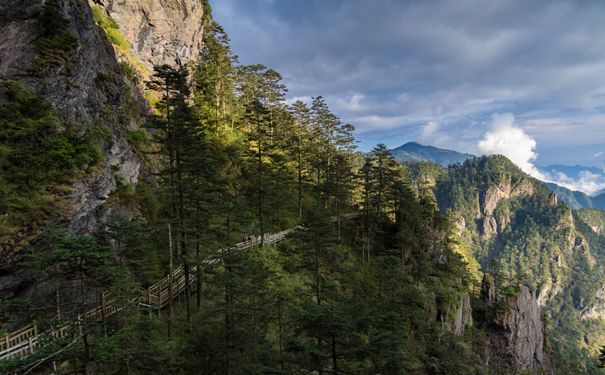 湖北神农架+武当山双卧5日游重庆到湖北武当山跟团游线路！全程0购物！北纬31度上的神奇之地，呼吸纯净的空气，爱上湖北，爱上神农架！