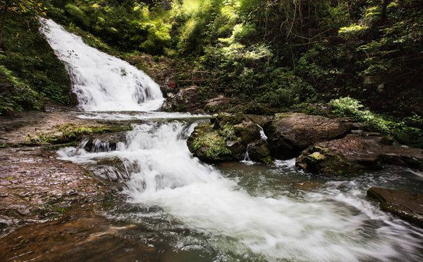 重庆出发周边旅游_重庆黑山谷纯玩养生一日游[重庆周边一日游]