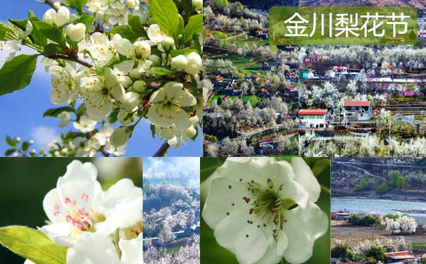 重庆到四川旅游_金川梨花节赏花3日游[私人订制+重庆出发]