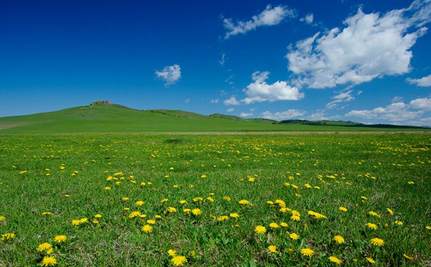 重庆到内蒙古旅游_鄂尔多斯草原、响沙湾、成吉思汗陵<内蒙古双卧7日游+0购物0自费>