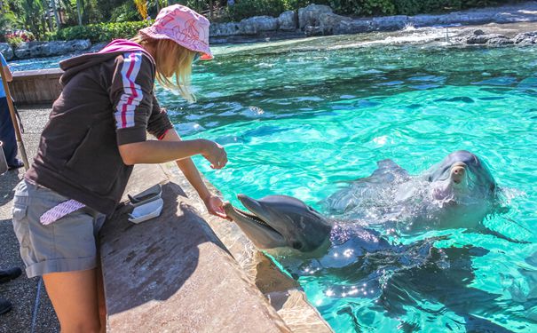 重庆出发到境外海岛旅游_毛里求斯蜜月自由行7日游[索菲特酒店]