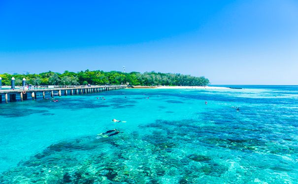 重庆出发海岛旅游_【海陆空】重庆到澳大利亚、新西兰12日旅游团(凯恩斯+澳墨+海豚岛)