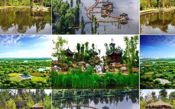 重庆出发到周边一日游旅游_重庆璧山秀湖+湿地公园一日游[品特色兔宴]