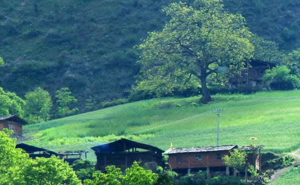 重庆到米堆冰川旅游_重庆到西藏滇藏线(丙察察线)+川藏南线G318+拉萨11天旅游<重庆到西藏自驾旅游线路，不走寻常线路，沿滇藏线（丙察察线）进藏，大理集合拉萨散团！>