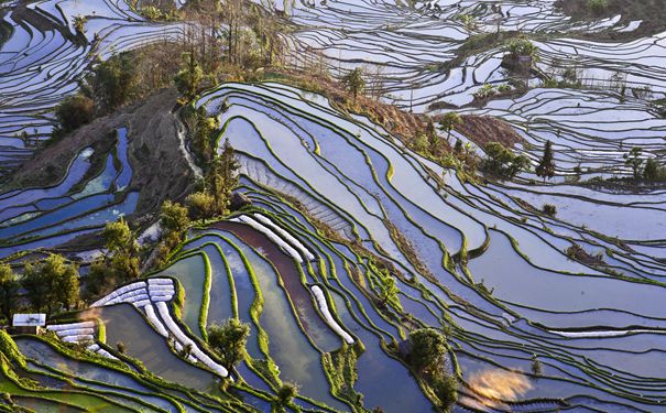 重庆到云南旅游_【云南摄影】昆明+抚仙湖+建水+元阳梯田+普者黑+东川红土地8天旅游