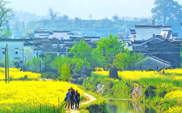 重庆到婺源旅游_【赏花特价】江西黄山+庐山+婺源篁岭+景德镇双动6天旅游[0购物]