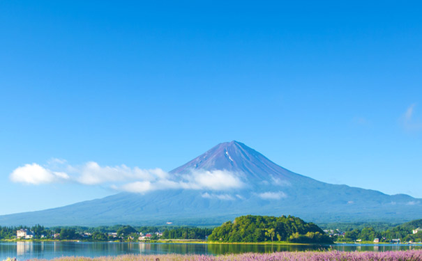 日本东京+日光+富士山+镰仓6日游[三大世界遗产+双温泉]