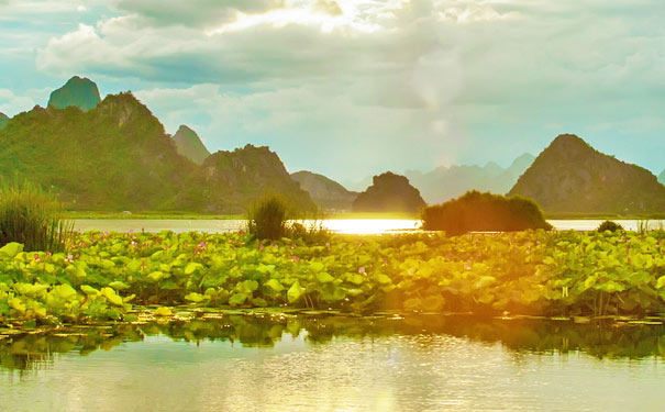 重庆到普者黑旅游_云南普者黑纯玩双飞五日游[三生三世十里桃花]<重庆直飞普者黑五日游，纯玩团，仙人洞村+荷花田园+菜花箐+青龙山+阿诺玫瑰庄园，品荷花宴，参加篝火晚会摸你黑>