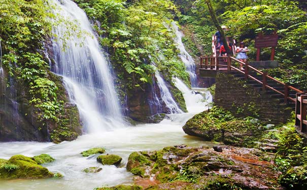 重庆出发特价旅游_[特价]重庆黑山谷养生一日游<重庆黑山谷一日游，特价黑山谷旅游，此特价仅针对重庆籍游客，外地游客需+40 元/人！不含换乘车费用！>