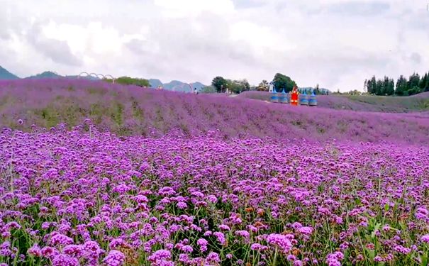 重庆到遵义旅游_贵州戈千崖+黔北花海+冰雪世界汽车2日游[重庆周边二日游]