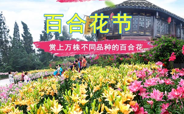 重庆出发亲子旅游_合川友军生态园百合花节+涞滩古镇一日游[重庆赏花一日游]<重庆周边旅游，重庆合川赏花一日游，全程不安排购物店不推荐自费景点，游涞滩古镇+合川友军郁金香，周边休闲赏花好去处！>