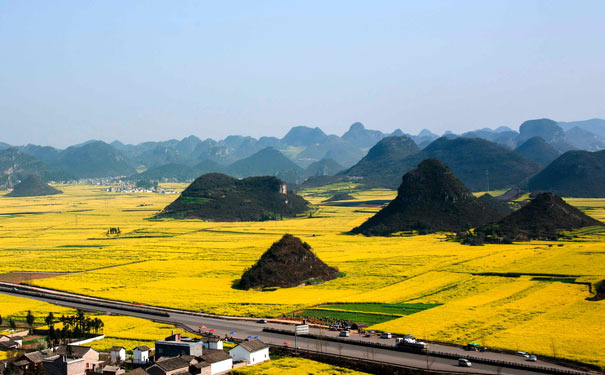 重庆到罗平旅游_罗平油菜花+天河潭+青岩古镇+安南古城纯玩三日游<重庆到罗平油菜花旅游线路，纯玩0购物0自费景点，春节期间赏20万亩油菜花海，提前感受春天的美！>