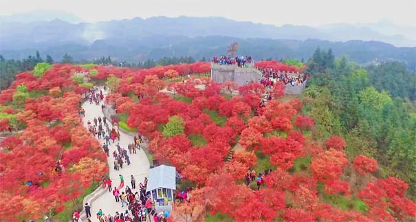 重庆出发主题旅游_[花田厨房]重庆巴南五洲园野炊一日游<重庆野炊一日游，自制野外火锅+五洲园红枫+放风筝，体验野外烹饪的乐趣，享受自然美景，体验人间烟火！>