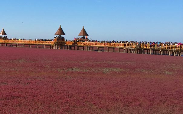 重庆出发秋叶旅游_[红叶游]辽宁沈阳+盘锦红海滩+丹东鸭绿江+本溪红叶5/6天[飞机/火车]<2021秋季红叶旅游线路，赏秋枫萧瑟，观一江东去！3晚未挂牌四星酒店+1晚私家庄园，免费品尝盘锦稻香蟹>