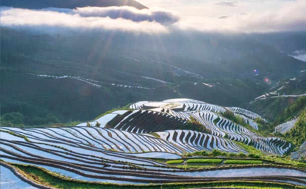 重庆到广西旅游_桂林+阳朔+龙脊梯田双动五日旅游[0自费]<广西桂林旅游线路亮点，游阳朔+桂林+龙脊，含龙脊梯田+竹筏游漓江+桂林千古情+富里桥+訾洲等，可选动车或飞机往返！>