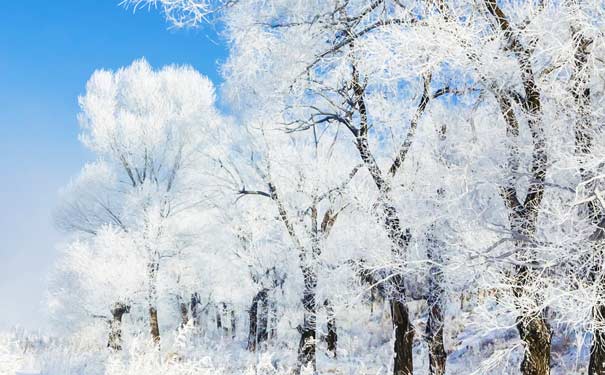 重庆到吉林旅游_东北吉林长白山+镜泊湖+雪乡+万科滑雪+哈尔滨双飞6日旅游<东北吉林长白山旅游，全程五星酒店住宿，游长白山全景+镜泊湖冬捕+万科滑雪+魔界+雾凇长廊+雪乡+大雪谷+哈尔滨！>