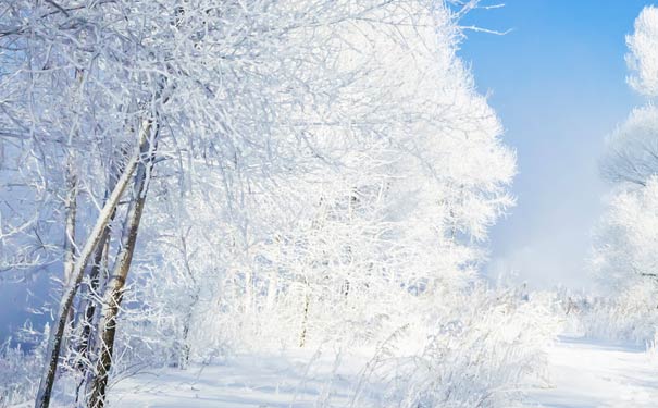 重庆到长白山旅游_[0购物]东北长白山+雾凇+镜泊湖+万科滑雪+雪乡+哈尔滨双飞6/7天旅游