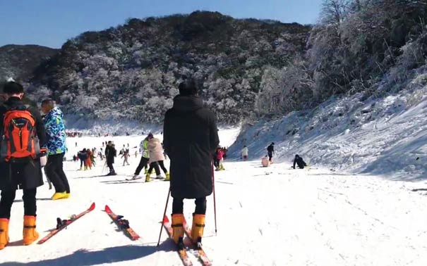 重庆出发冰雪旅游_[金佛山冰雪节]重庆金佛山西坡+天星小镇一日游[0购物]<金佛山冰雪节一日游，重庆周边冰雪旅游线路，游览金佛山西坡+金佛寺+天星小镇，全程0购物0会销，滑雪场费用未含！>