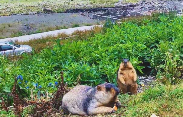 [自驾]川西莫斯卡+丹巴中路藏寨自驾三日旅游