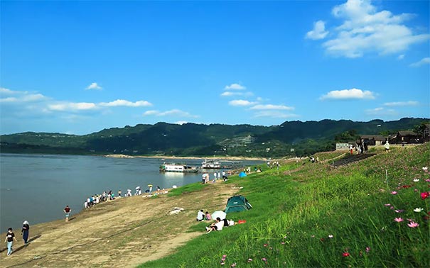 重庆出发赏花旅游_重庆巴南木洞河街赏格桑花一日游[夏日赏花]