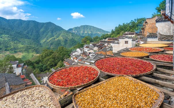 重庆到婺源旅游_江西庐山/婺源/景德镇/黄山动车6日游[纯玩夕阳红]<黄山+江西夕阳红旅游，全程0购物，含1晚庐山景区内住宿，游婺源篁岭晒秋+庐山秋色+黄山秋景+宏村！>